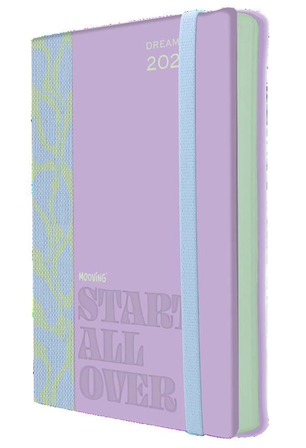 Agenda 15x21 Dreamer 2027 Día por página (15x21 cm)
