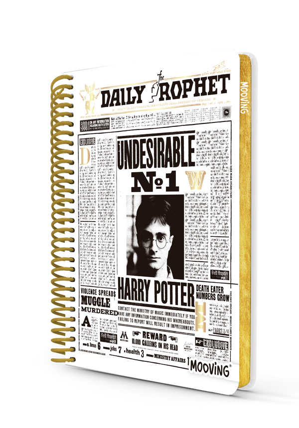 Harry Potter cuaderno 12x14,5 cm